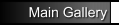 Main_Gallery
